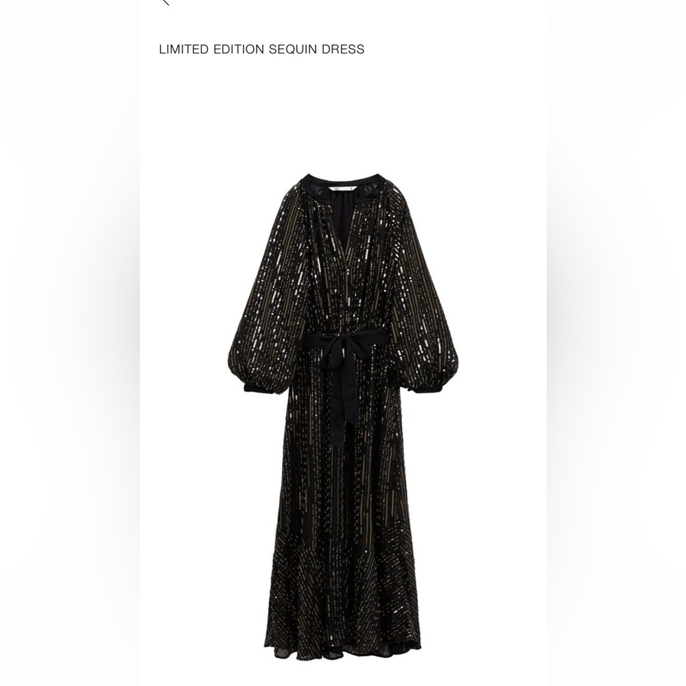 Zara limited edition sequin midi peasant dress xl